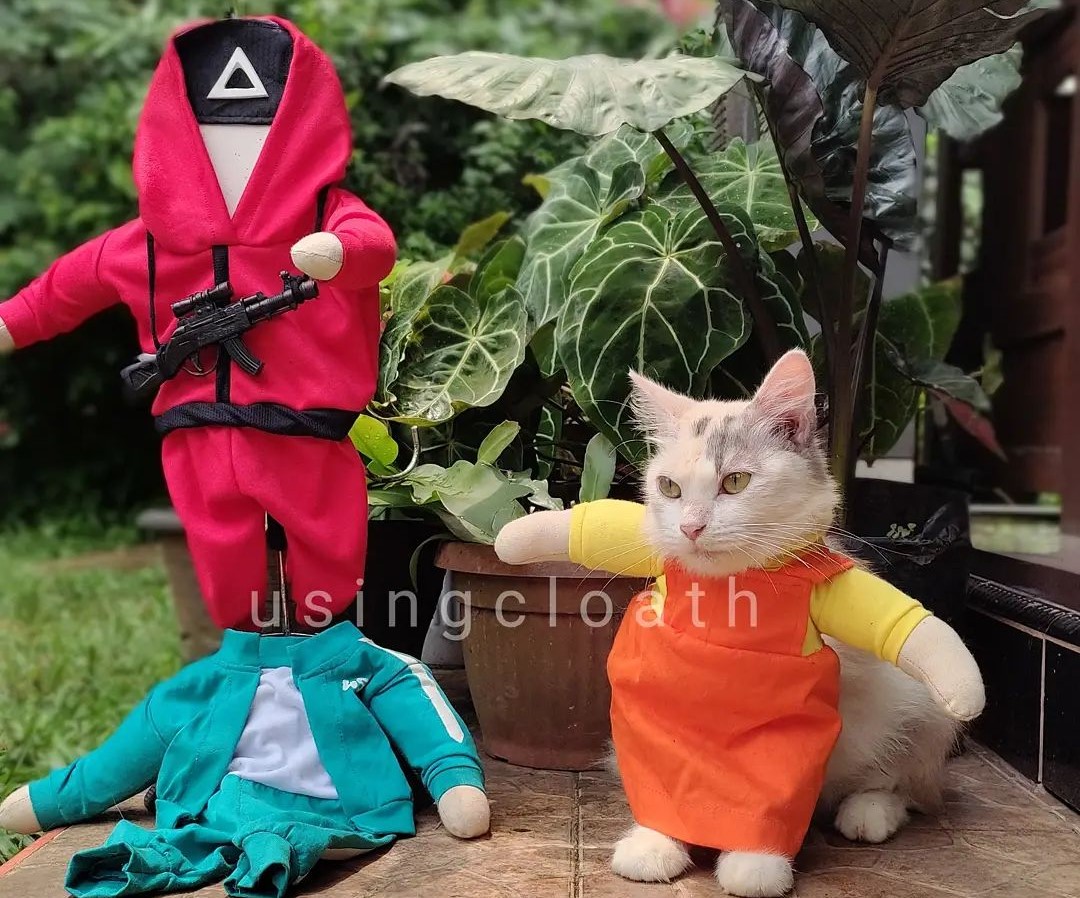 Mantan Guru Jadi Desainer Baju Kucing, Karyanya Sampai ke Luar Negeri
