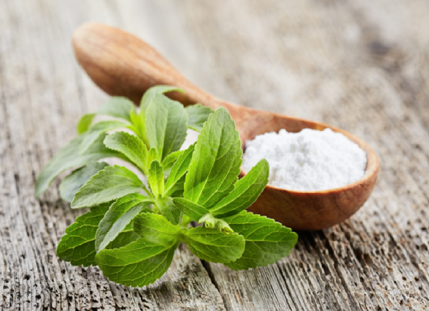 Stevia, Alternatif Sehat Pengganti Gula