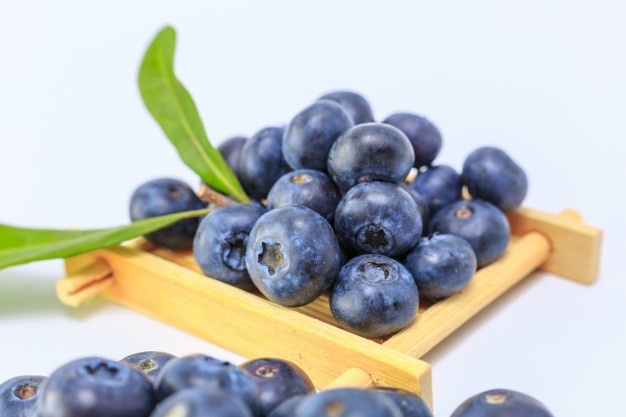1636891530-blueberry.jpg