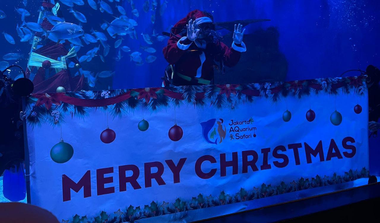 5 Acara Seru di Jakarta Aquarium Sambut Natal dan Tahun Baru