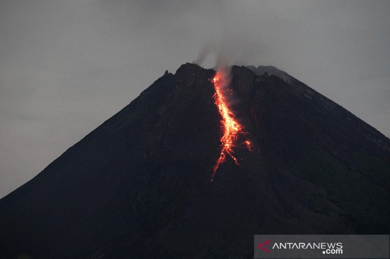 Gunung Merapi Keluarkan Guguran Lava Pijar 7 Kali Sejauh 2.000 Meter