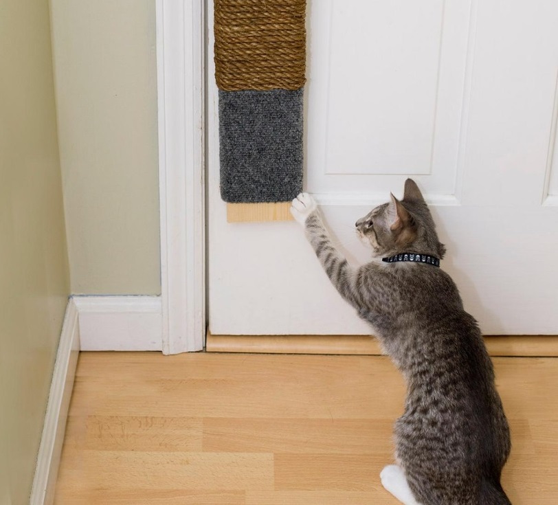 DIY Scratch Pad Gantung untuk Kucing Kesayangan