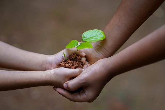 Peduli Lingkungan, PT PII Laksanakan Program CSR Pemberdayaan Ekonomi Kreatif