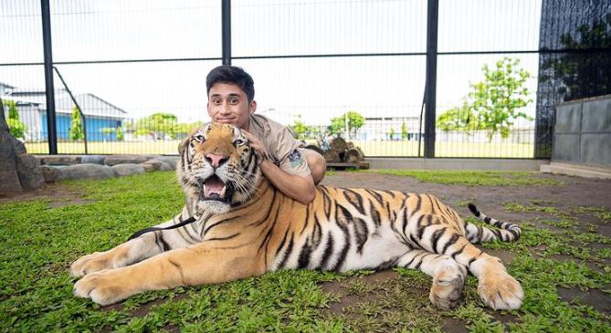 5 Artis Indonesia yang Hobi Pelihara Binatang Buas