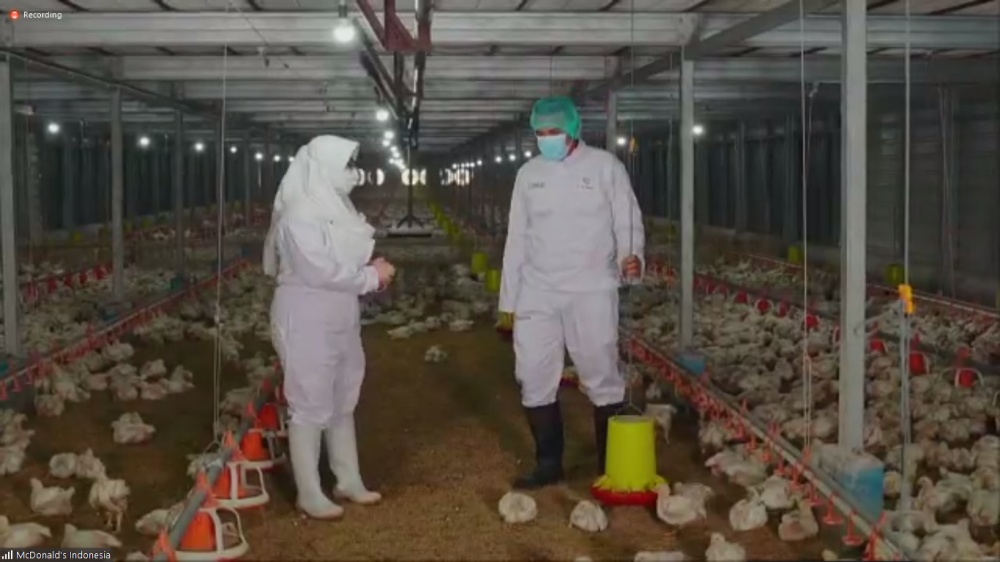 Luas 14 Hektar, Yuk Intip Peternakan Ayam McDonald's di Cianjur!