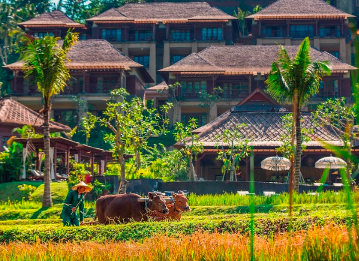 1658211878-Mandapa-A-Ritz-Carlton.png
