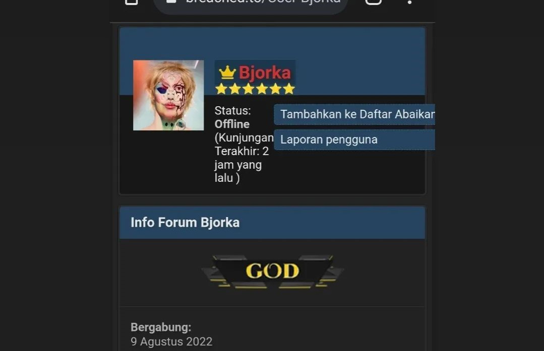 Bjorka Disebut Berasal dari Cirebon, Benarkah?