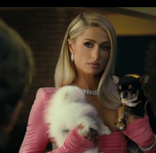 Anjing Peliharaan Hilang, Paris Hilton Bikin Sayembara dan Sewa Detektif