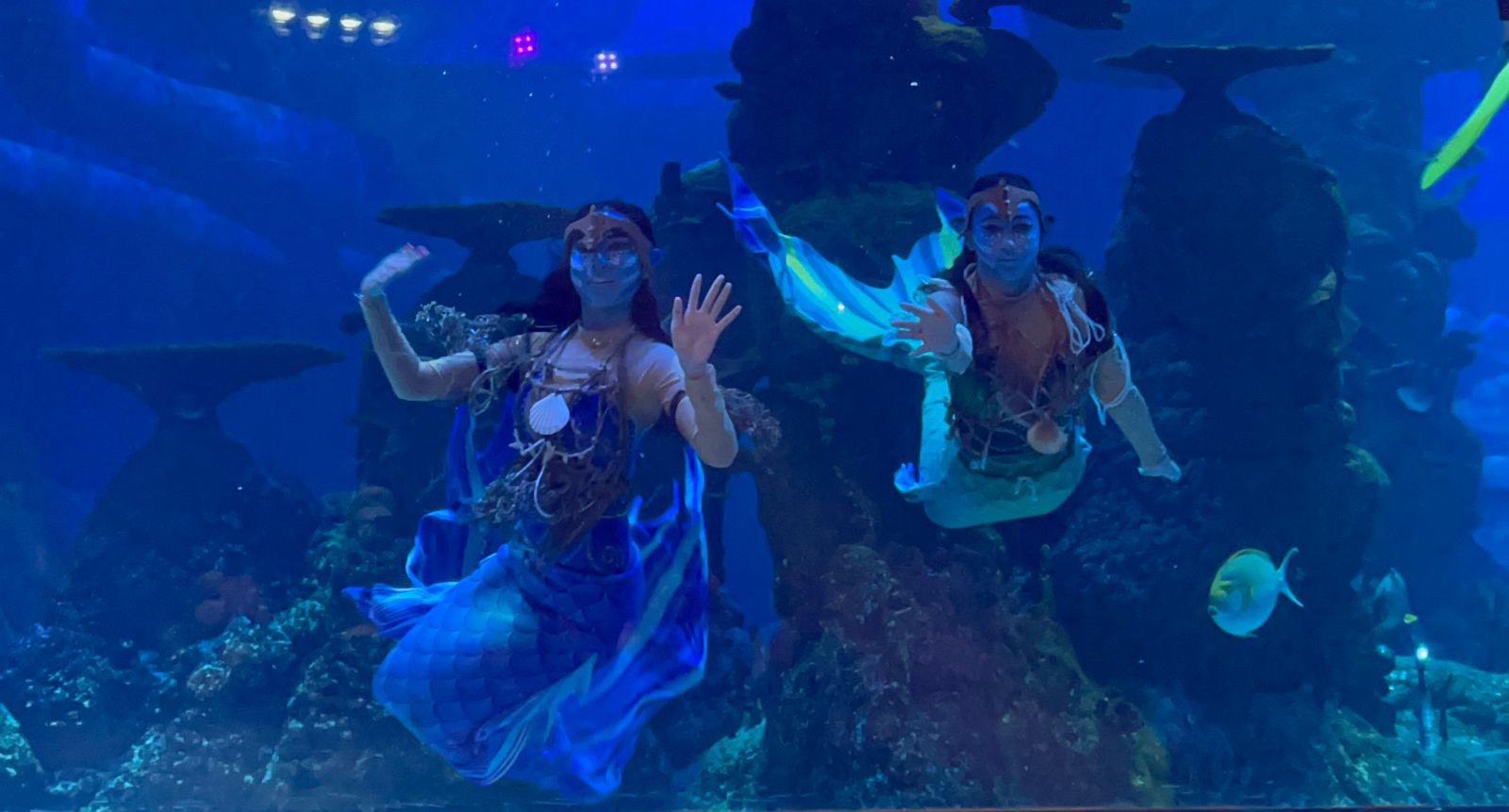 Menengok Cantiknya Aksi Putri Duyung ‘Avatar’ dalam Akuarium Raksasa
