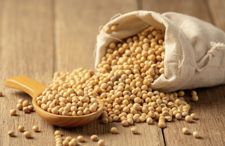 1671427658-Kacang.jpg