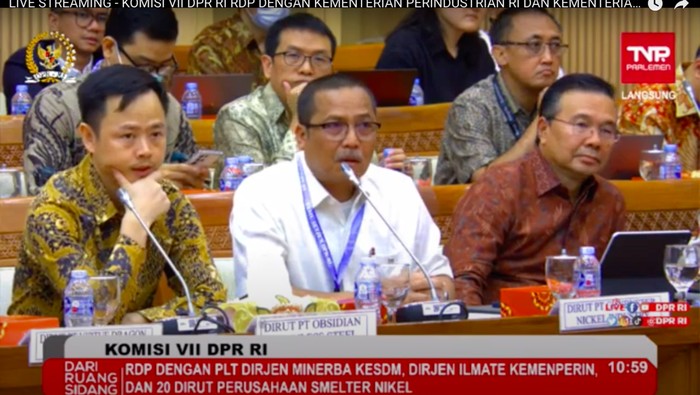 Tak Bisa Bahasa Indonesia di Rapat Parlemen, Bos-bos Smelter Kena Semprot DPR