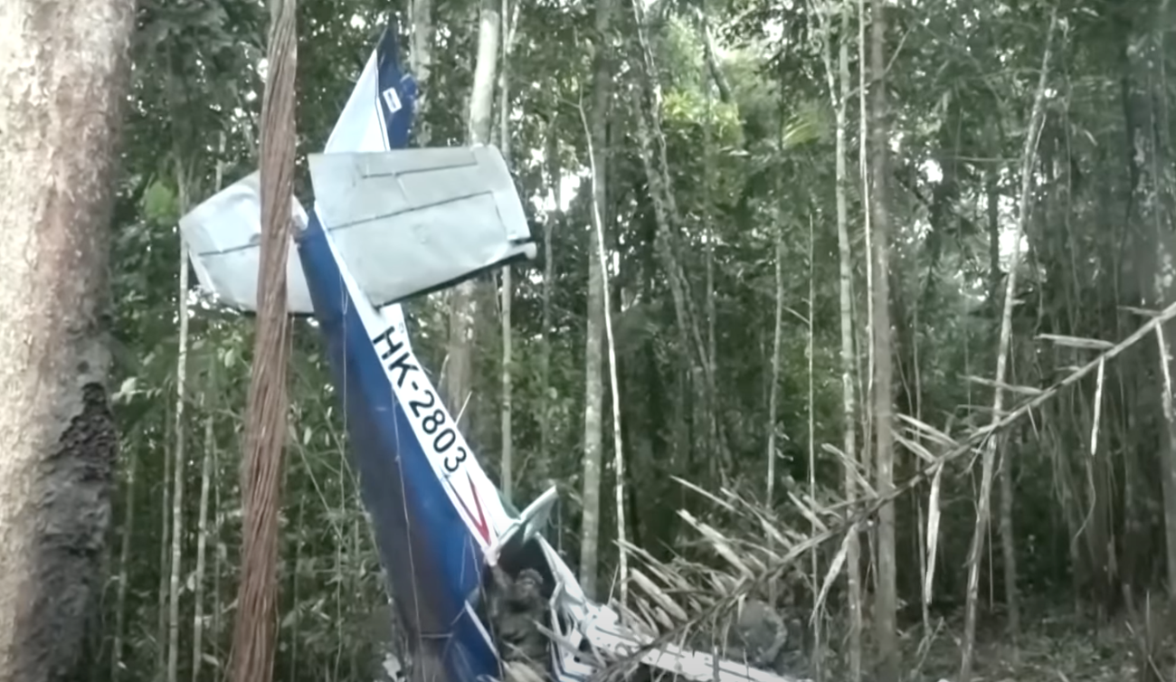 4 Anak Ditemukan Selamat di Hutan Amazon Setelah 40 Hari Kecelakaan Pesawat