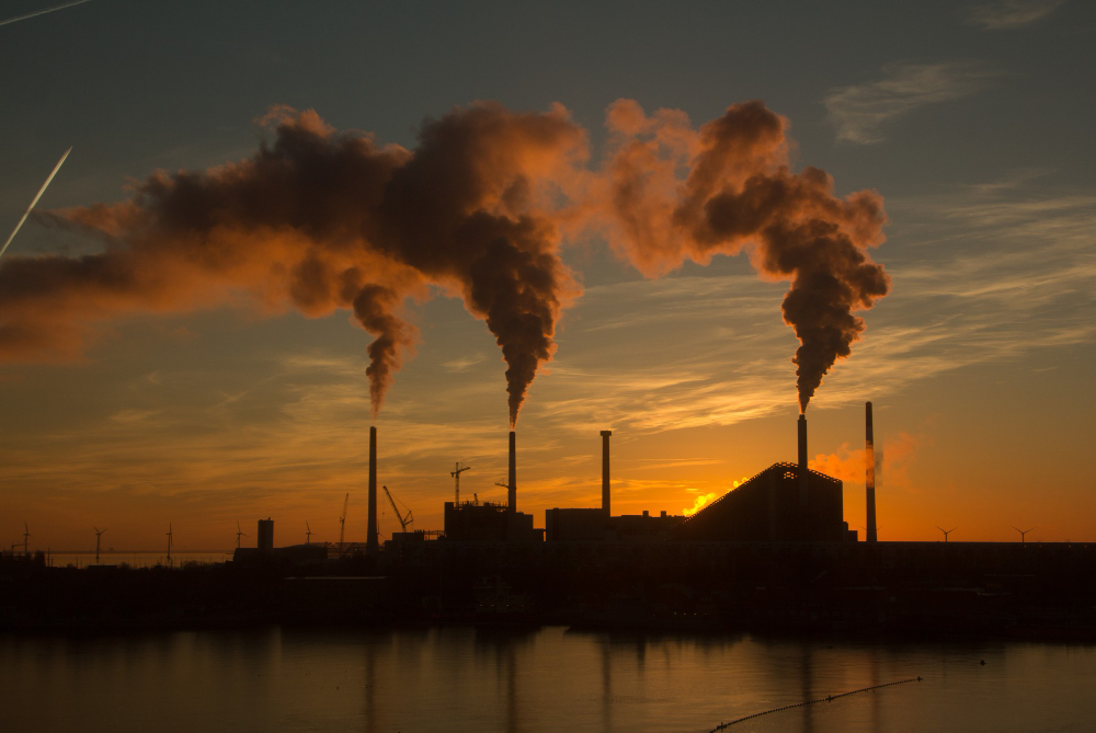 MUTU Siap Jadi Bagian Ekosistem Bursa Karbon yang Meluncur 26 September