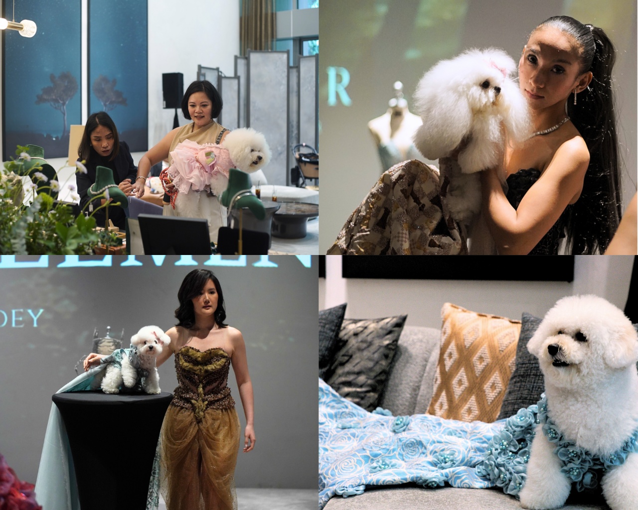 Hunian Modern yang Ramah Hewan Peliharaan Kini Jadi Tren